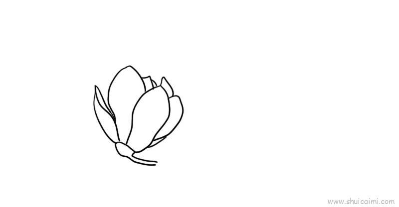 玉兰花儿童画怎么画 玉兰花简笔画简单又好看