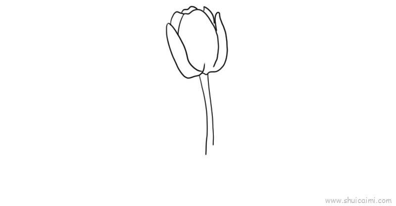 郁金香儿童画怎么画 郁金香简笔画顺序