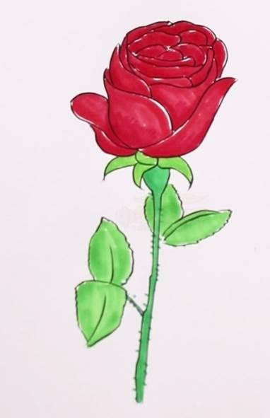 玫瑰花图片简笔画 玫瑰花图片简笔画手绘