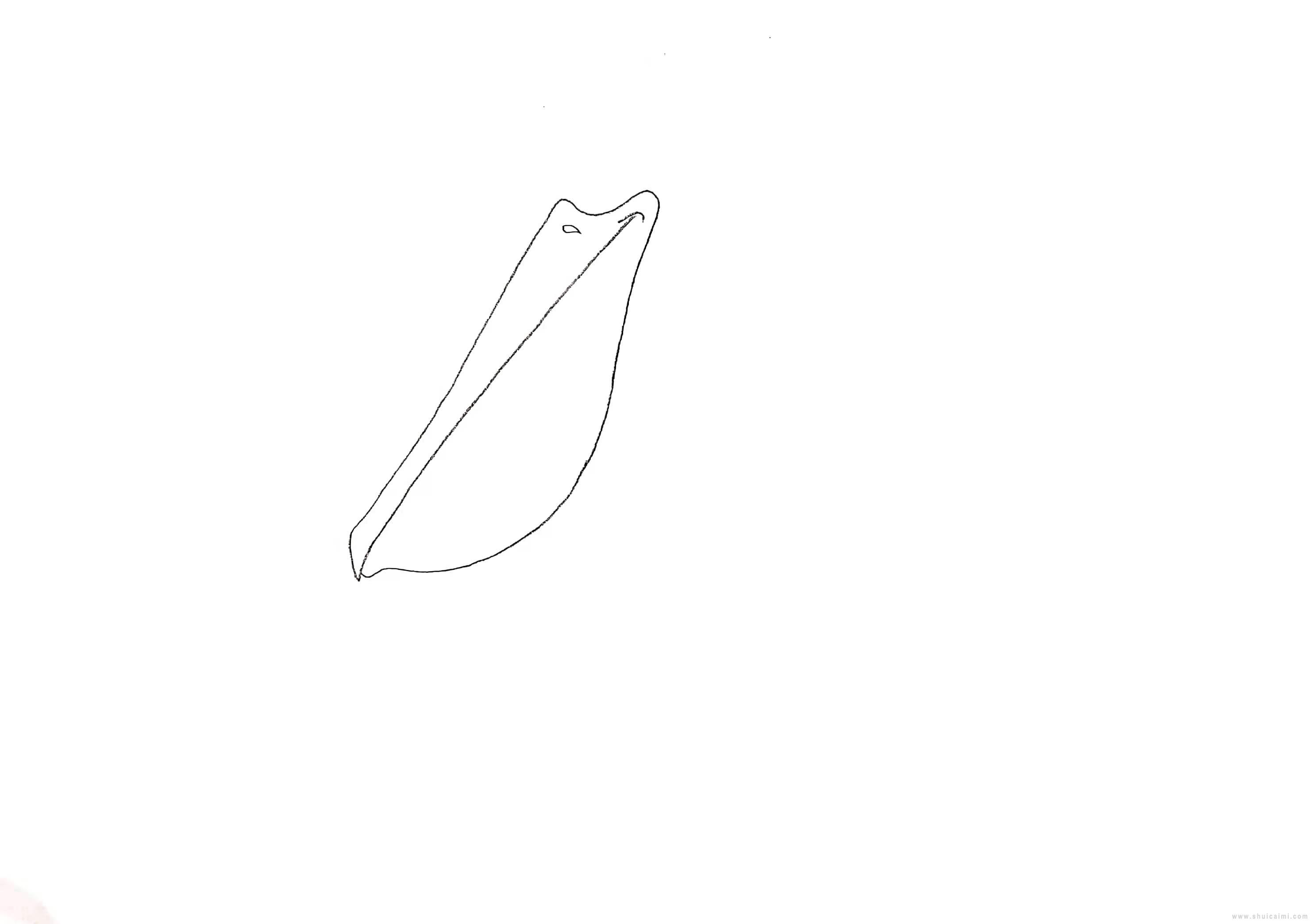 鹈鹕简笔画怎么画 鹈鹕简笔画图片大全