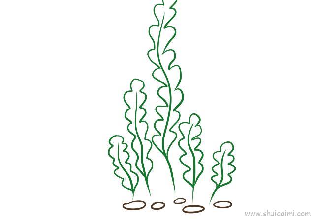水草儿童画怎么画 水草简笔画步骤