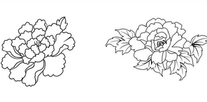 牡丹花简笔画 牡丹花简笔画简单又好看
