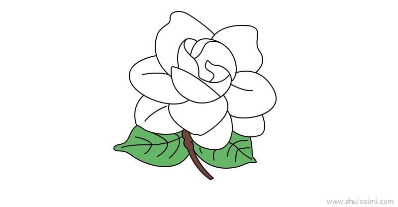 栀子花教程儿童画怎么画 栀子花教程简笔画好看