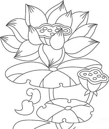 莲花简笔画 莲花简笔画简单又好看