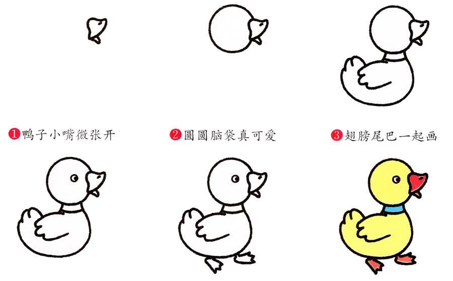 小鸭简笔画图片大全 小鸭简笔画图片大全彩色