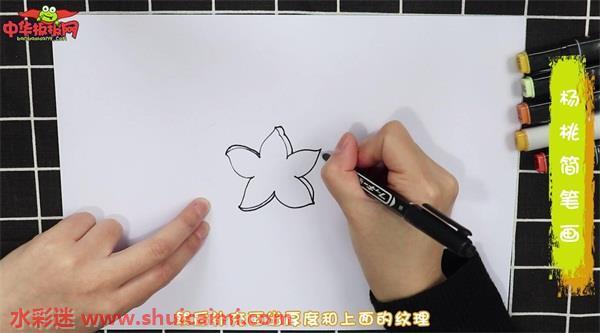 杨桃怎么画 杨桃简笔画图片彩色