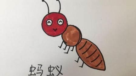 小蚂蚁简笔画 小蚂蚁简笔画彩色