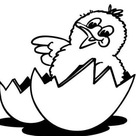 简笔画小鸡 简笔画小鸡的画法最简单