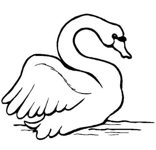 简笔画鹅 简笔画图片大全