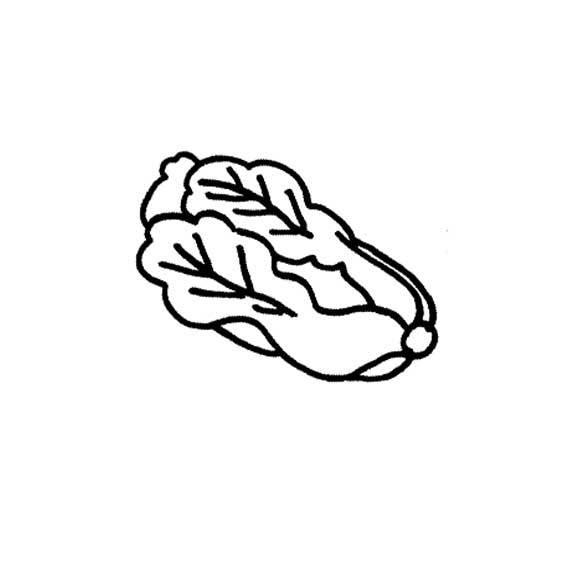 大白菜 简笔画 大白菜简笔画图片带颜色