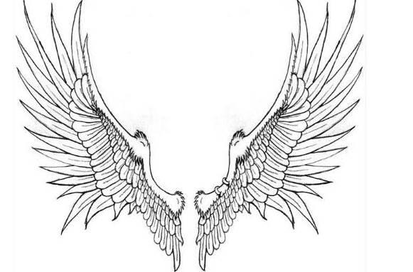 翅膀简笔画图片大全 翅膀简笔画图片大全可爱