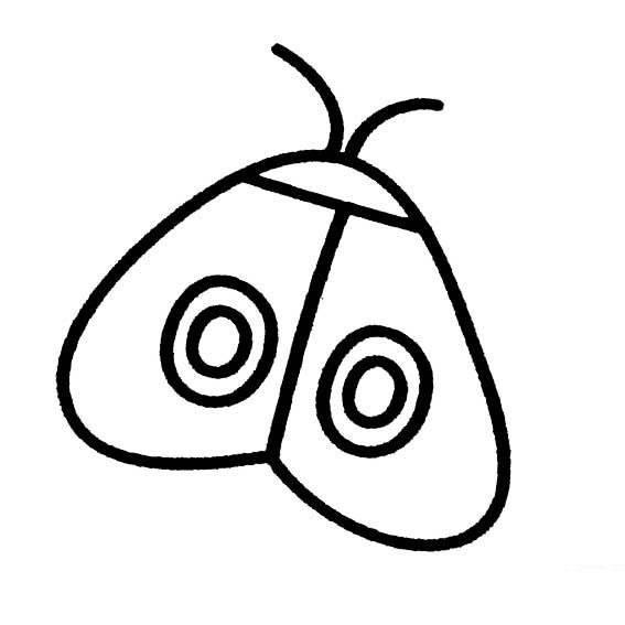 蚕蛾简笔画 蚕蛾简笔画 简单漂亮