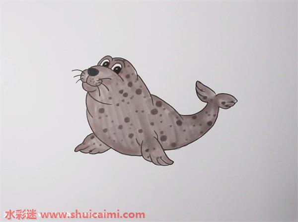 海豹怎么画 海豹简笔画简单好看带颜色