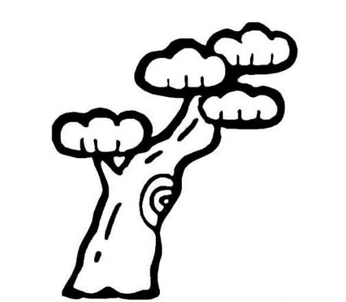 大树简笔画图片大全 大树简笔画图片大全大图