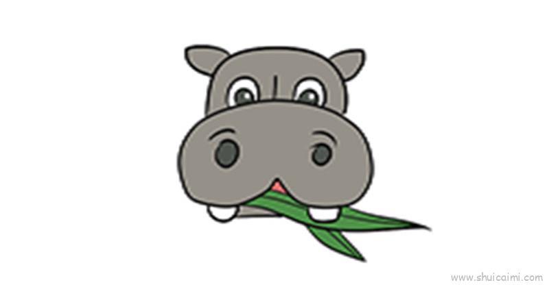 河马草,河马草儿童画怎么画 河马草,河马草简笔画图片