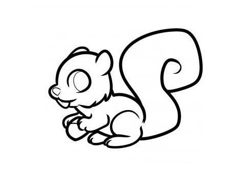 松鼠简笔画图片大全 松鼠简笔画图片大全彩色