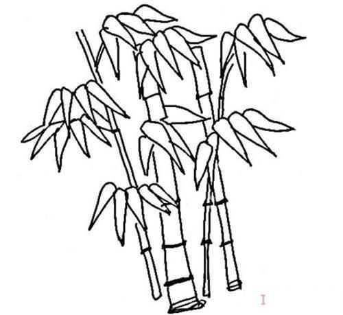 竹子简笔画图片大全 大熊猫竹子简笔画图片大全