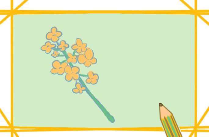 桂花简笔画 桂花简笔画图片