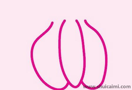 大蒜儿童简笔画