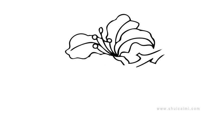 紫荆花简笔画怎么画 紫荆花简笔画简单又好看