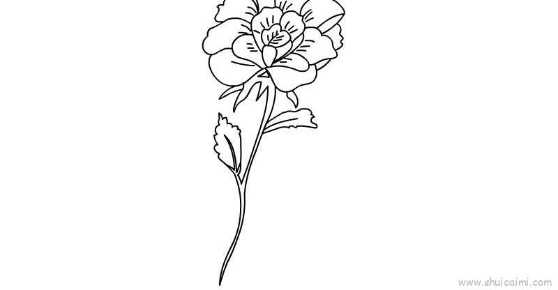 花朵儿童画怎么画 花朵简笔画顺序