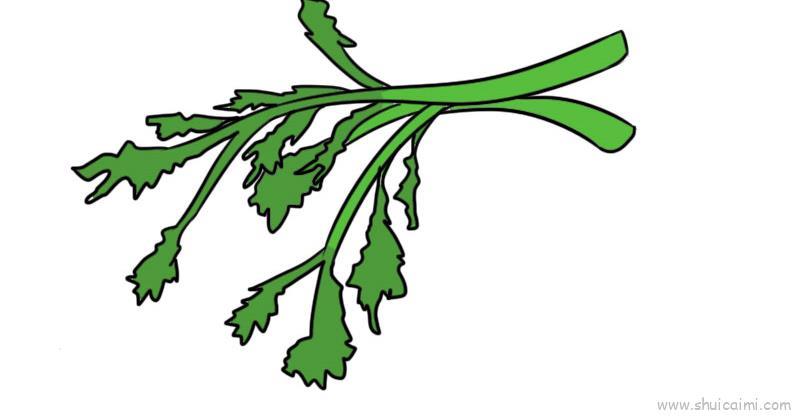 茼蒿菜儿童画怎么画 茼蒿菜简笔画图片大全