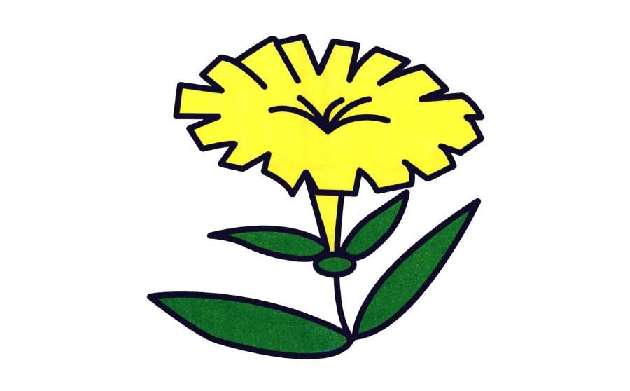 蒲公英简笔画 蒲公英简笔画彩色