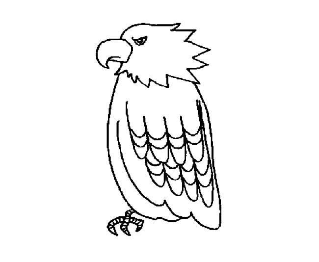 老鹰简笔画 老鹰简笔画简单