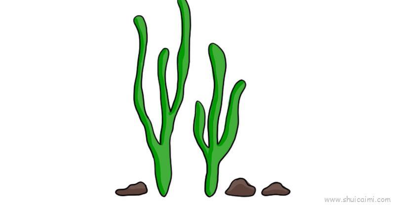 海草儿童画怎么画 海草简笔画画法
