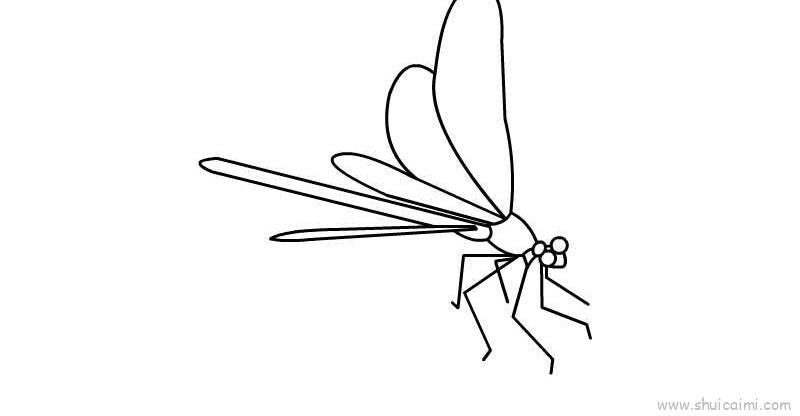 蜻蜓儿童画怎么画 蜻蜓简笔画简单又好看