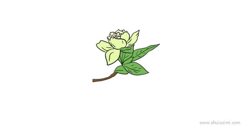 栀子花儿童画怎么画 栀子花简笔画好看