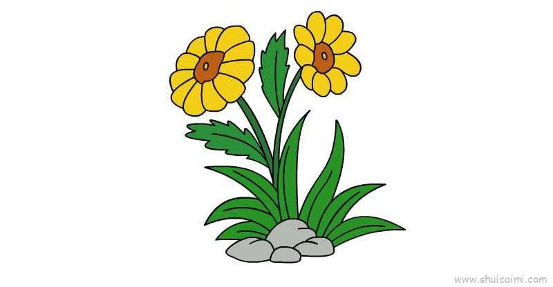 金盏花儿童画怎么画 金盏花简笔画图片