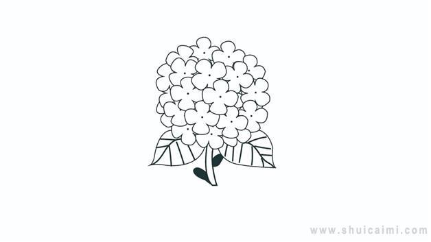 绣球花简笔画怎么画 绣球花简笔画画法