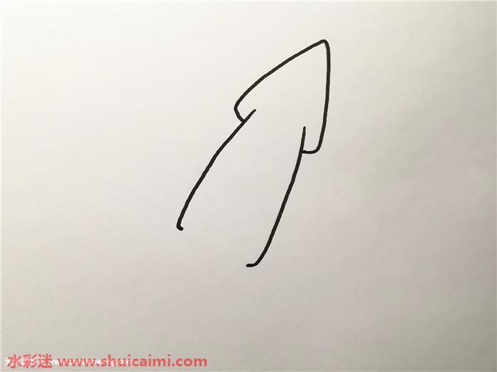 乌贼怎么画 乌贼简笔画漂亮卡通