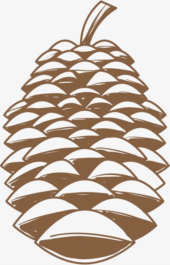 松果简笔画 松果简笔画图片