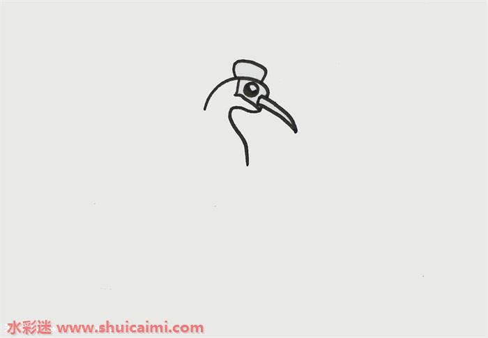 丹顶鹤怎么画 丹顶鹤简笔画图片彩色
