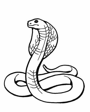 简笔画蛇 简笔画蛇图片