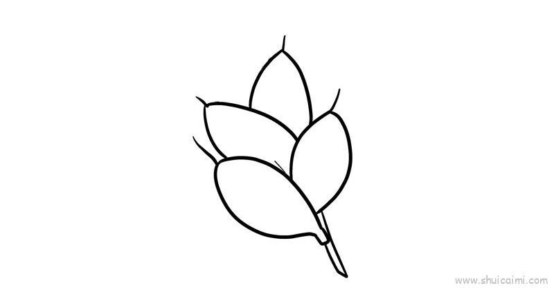 小麦儿童画怎么画 小麦简笔画步骤