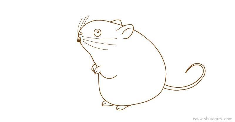 竹鼠儿童画怎么画 竹鼠简笔画图片大全