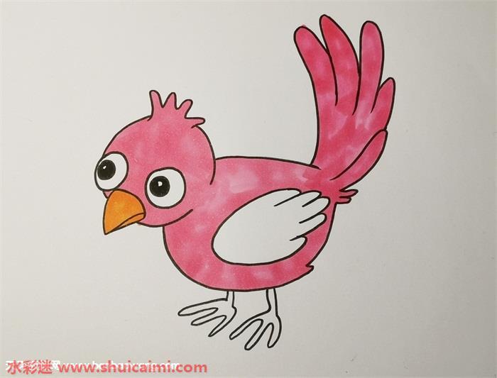 小鸟怎么画 小鸟简笔画步骤图