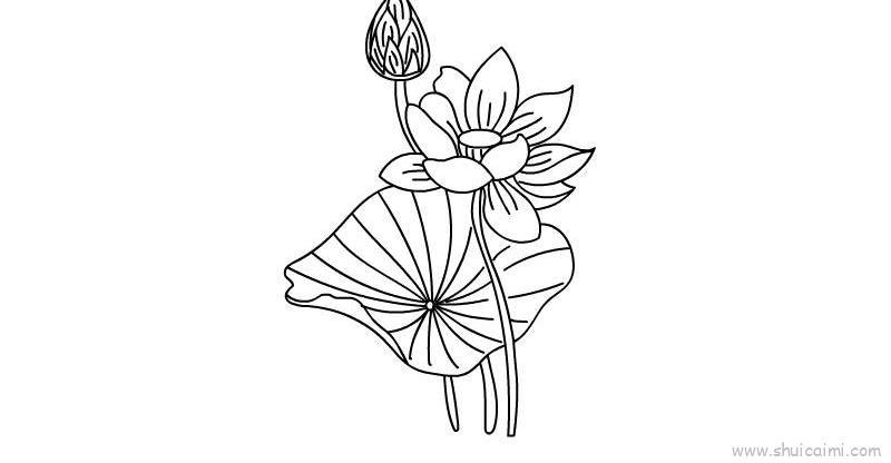 荷花儿童画怎么画 荷花简笔画步骤
