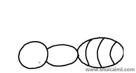 卡通蚂蚁简笔画绘画教程