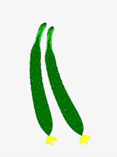 黄瓜简笔画 黄瓜简笔画怎么画