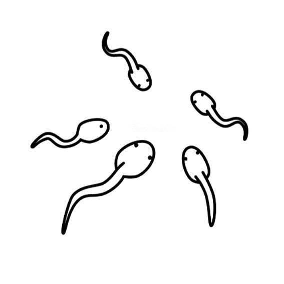 小蝌蚪简笔画 小蝌蚪简笔画图片彩色