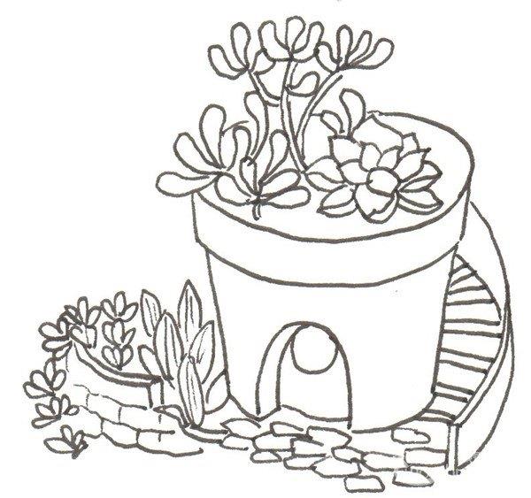 多肉的简笔画怎么画 多肉的简笔画顺序