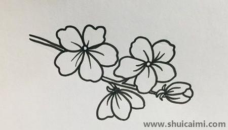 简单的桃花简笔画教程步骤