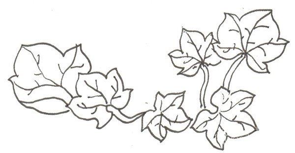 南瓜的简笔画怎么画 南瓜的简笔画顺序