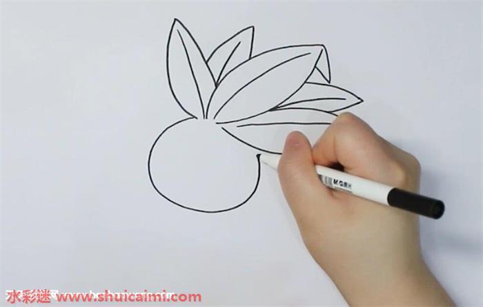 走路草怎么画 走路草简笔画图片大全