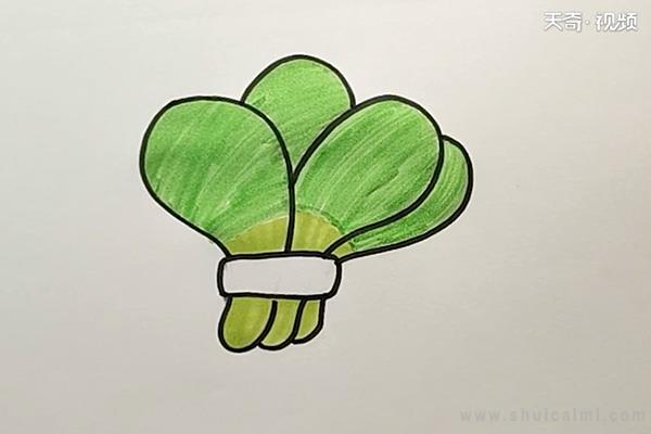 白菜简笔画怎么画 白菜简笔画简单
