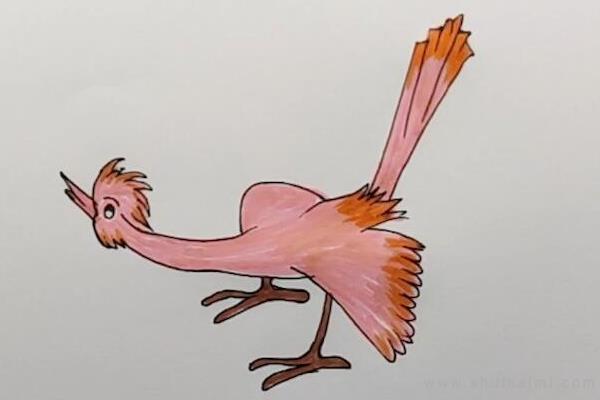 杜鹃鸟简笔画怎么画 杜鹃鸟简笔画好看